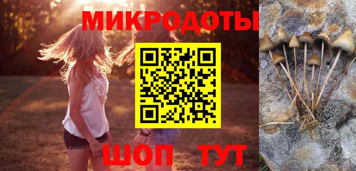 Саратов  Псилоцибиновые грибы мицелий  Вход с VPN  купить  сайты  Галлюциногенные грибы Magic Shrooms 